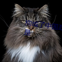 构成了中国政治(zhì)制度的基本(běn)框架(jià)是