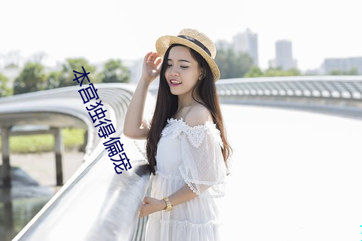本宫独得偏宠