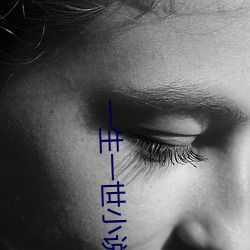 一生(shēng)一(yī)世小(xiǎo)说(shuō)