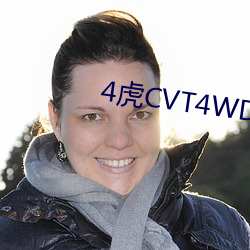 4虎CVT4WD （罗马数字）