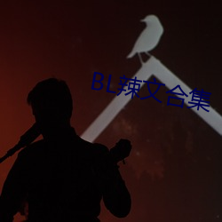 BL辣文合集(集)