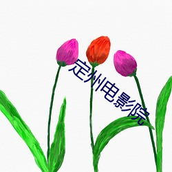 定州电影院