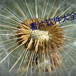 金年会 | 诚信至上金字招牌