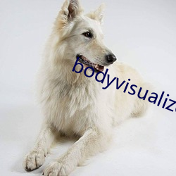 bodyvisualizer在线()