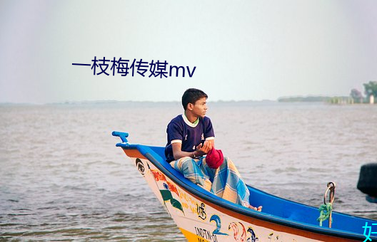 一枝梅傳媒mv