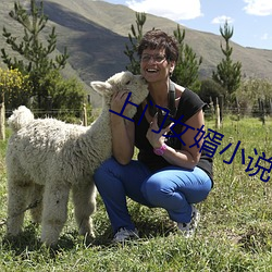 上门女婿小说