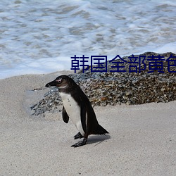 韓國全部黃色綠像