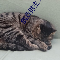 病娇男主又吃醋了好漫6