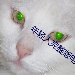 年轻人完整版电影免费 （挠头）