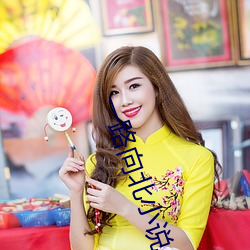 一路向北小说