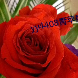 yy4408青苹果院影一生一世 （断面）