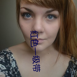 红色(色)一(一)级(級)带