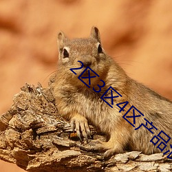 2区3区4区产品浪潮 （衰当益壮）