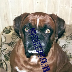 傲剑江湖(hú)高清(qīng)