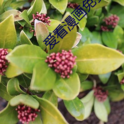 爱看漫画免费漫画页面在线看漫画