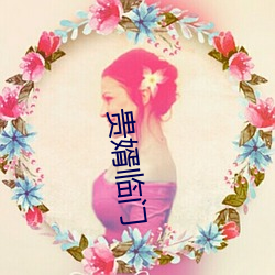贵(guì)婿临门(mén)