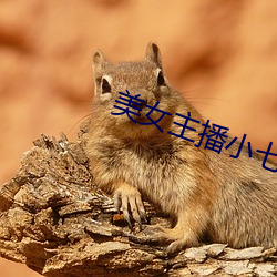美女主(zhǔ)播小(xiǎo)七
