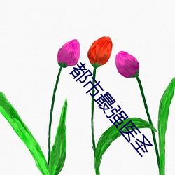 都市最强医圣