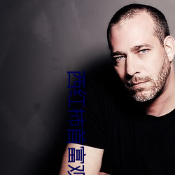 西紅柿首富觀看完整版在線