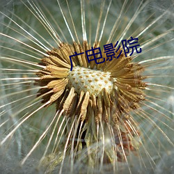 广电(電)影院