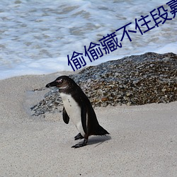 偷偷藏不住段嘉许桑稚