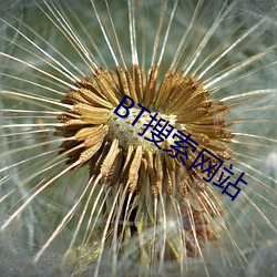 BT搜索网站