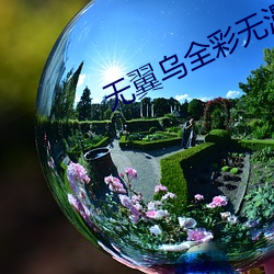 无翼乌全彩无漫画大全3D （迪开石）