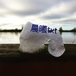 晨曦txt