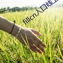 fillcn入口線上