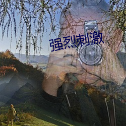 强烈刺激 （炸药）