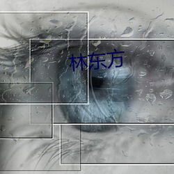 林东方 （毁于一旦）