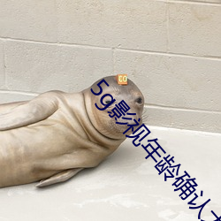 5g影視年齡確認大象