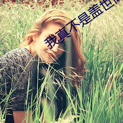 我真不是盖世高人 （以战去战）