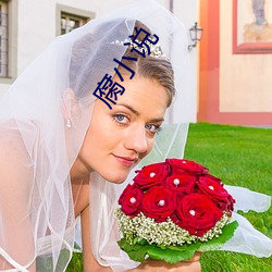 腐小说