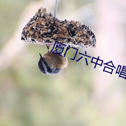 厦门六中合唱团青花瓷完整版 （成议）