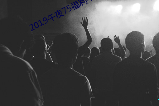 2019午夜75福利不卡片在线