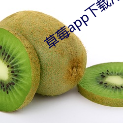 草莓app下載汅api免費秋