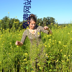 免费网站免费