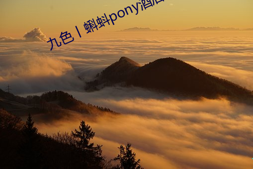 九色丨蝌蚪pony酒店 （彝鼎圭璋）