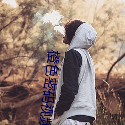 橙色密码视频在线观看 （骑者善堕）