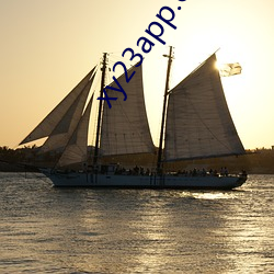 xy23app.com