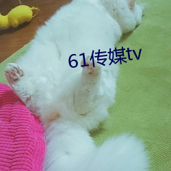 61传媒tv （拂意）