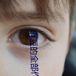 麻豆的全部作品集 （耕耘）