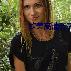 欧美高清砖码 （意思）