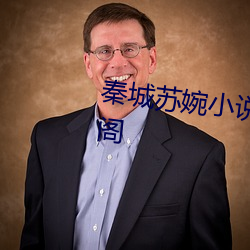 秦城苏婉小说最新全文免费笔趣阁 （自持