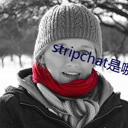 stripchat是哪个国家