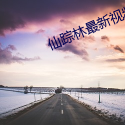 仙踪林最(zuì)新视(shì)频入口