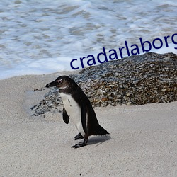 cradarlaborg