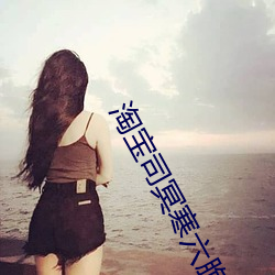 淘(táo)宝司冥(míng)寒六胞胎免费阅读