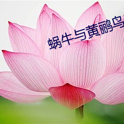 蜗牛(牛)与黄鹂鸟电(電)视剧(劇)免费观